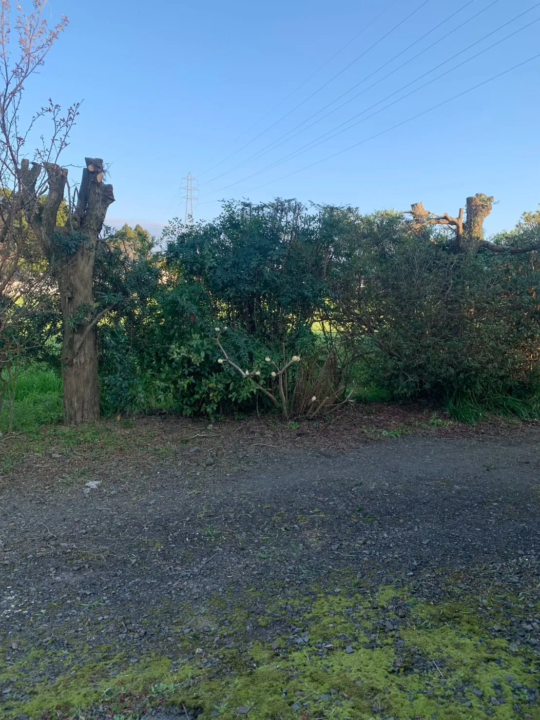 宮崎不用品回収